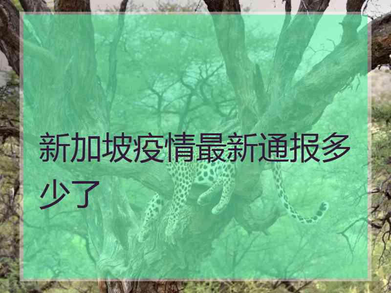 新加坡疫情最新通报多少了 新加坡疫情最新通报多少了