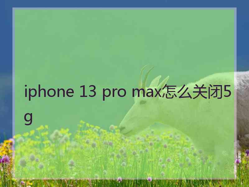 iphone 13 pro max怎么关闭5g