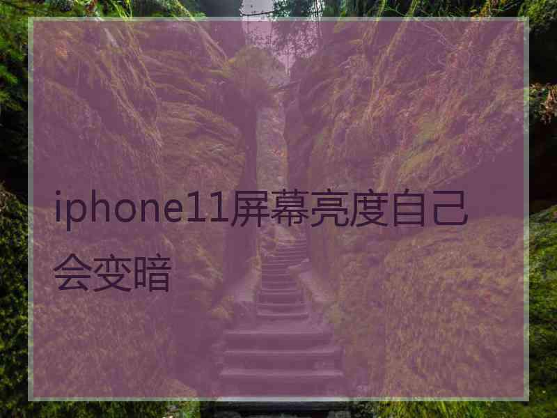 iphone11屏幕亮度自己会变暗