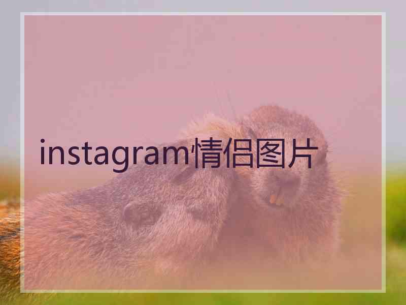 instagram情侣图片