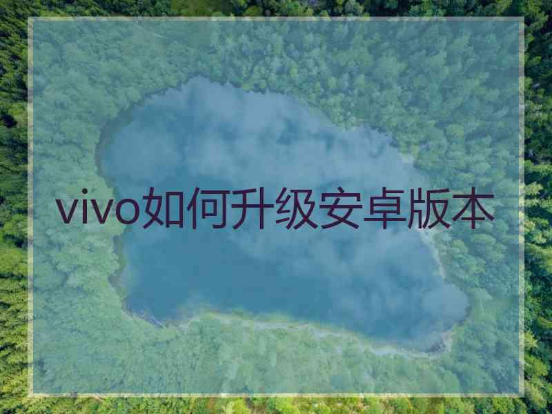 vivo如何升级安卓版本