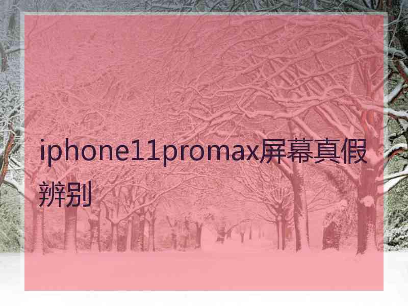 iphone11promax屏幕真假辨别