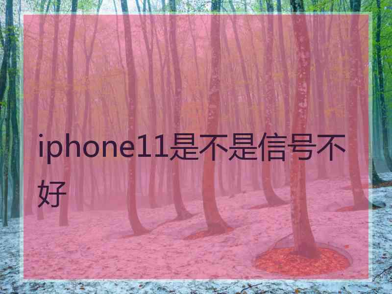 iphone11是不是信号不好