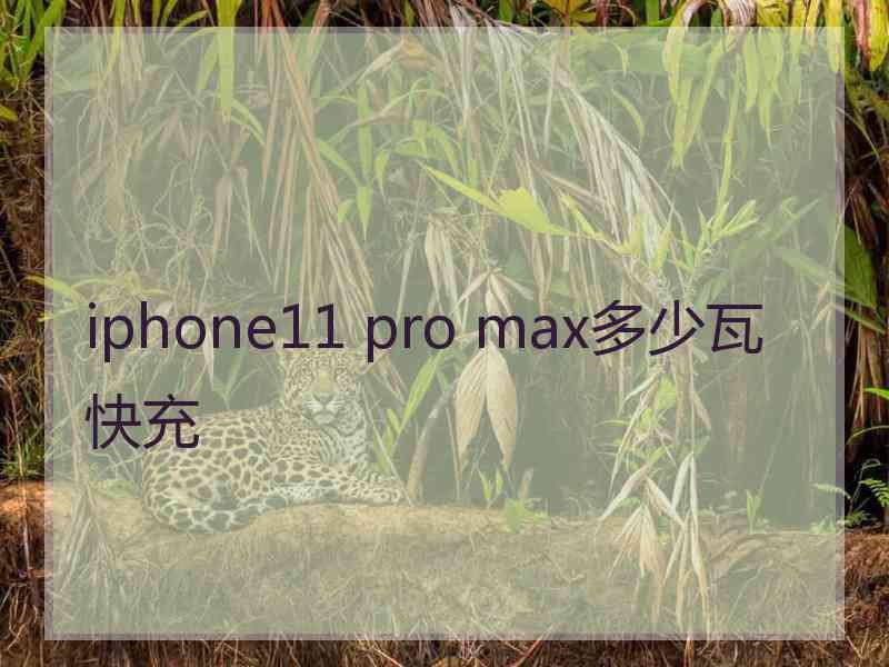 iphone11 pro max多少瓦快充