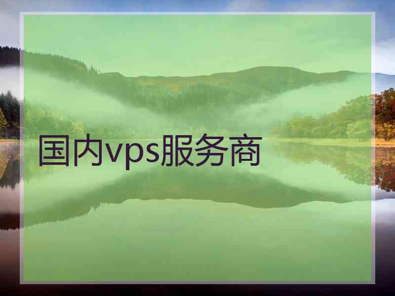 国内vps服务商