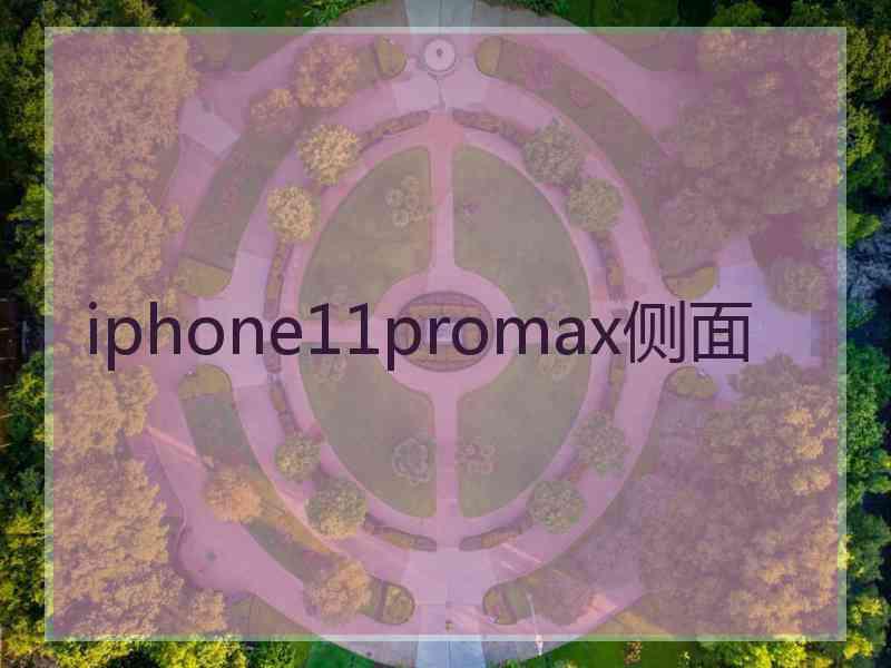 iphone11promax侧面