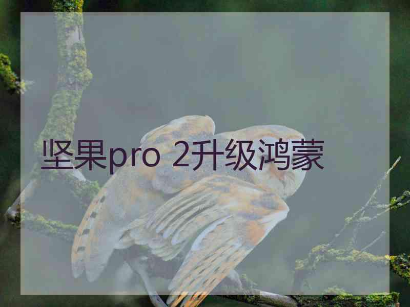 坚果pro 2升级鸿蒙