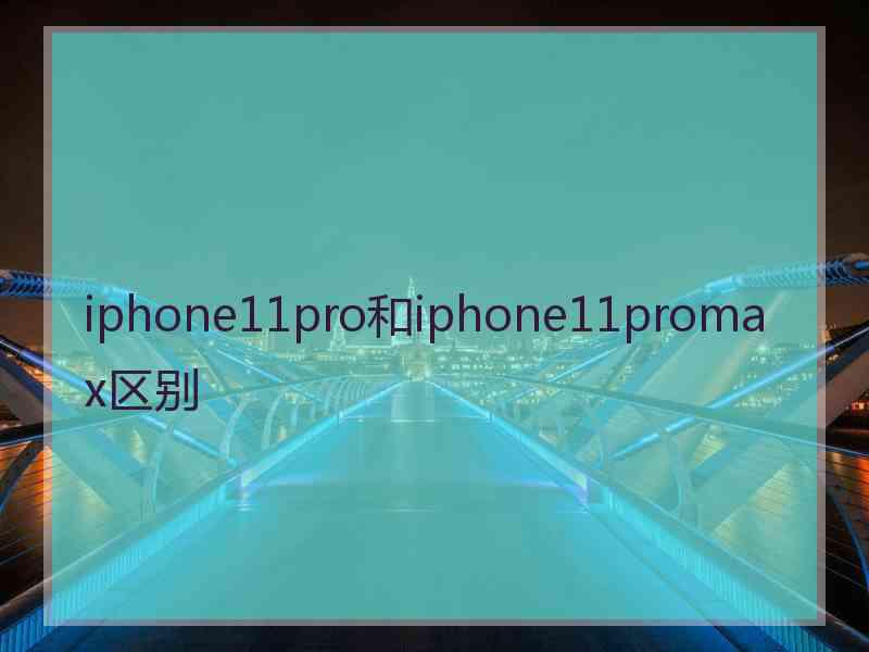 iphone11pro和iphone11promax区别