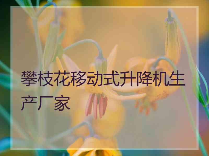 攀枝花移动式升降机生产厂家