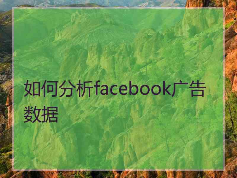 如何分析facebook广告数据