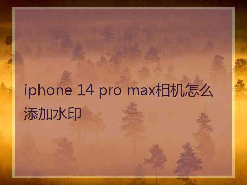 iphone 14 pro max相机怎么添加水印