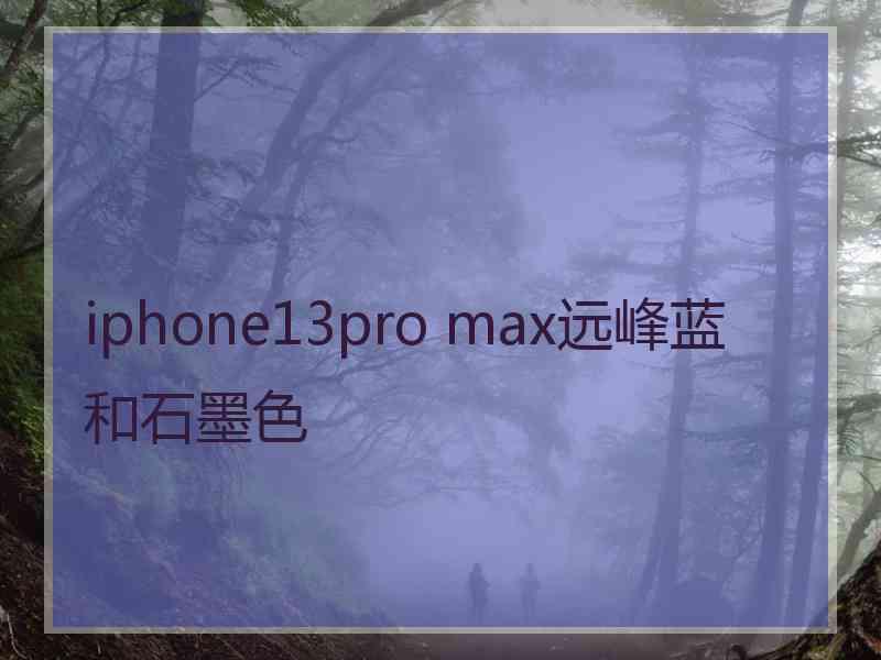 iphone13pro max远峰蓝和石墨色