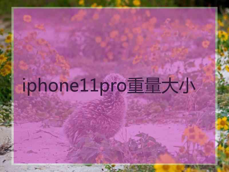 iphone11pro重量大小