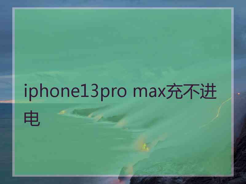 iphone13pro max充不进电