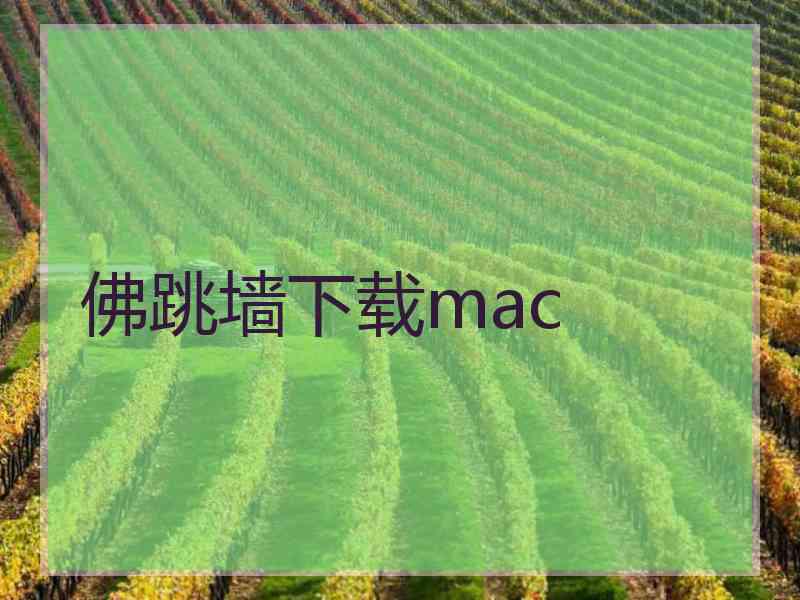 佛跳墙下载mac