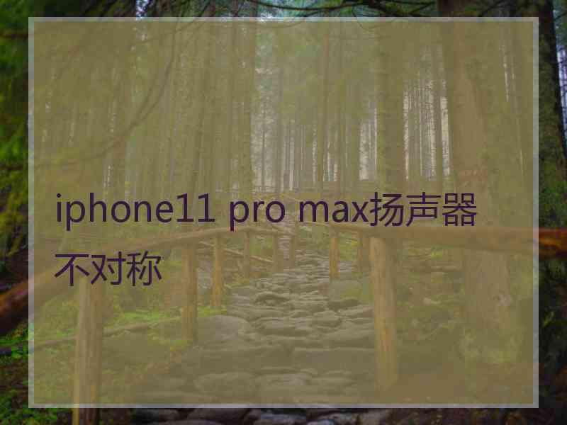 iphone11 pro max扬声器不对称