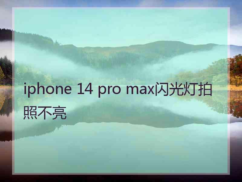 iphone 14 pro max闪光灯拍照不亮