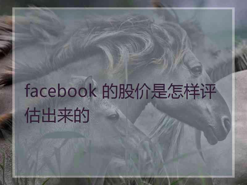 facebook 的股价是怎样评估出来的