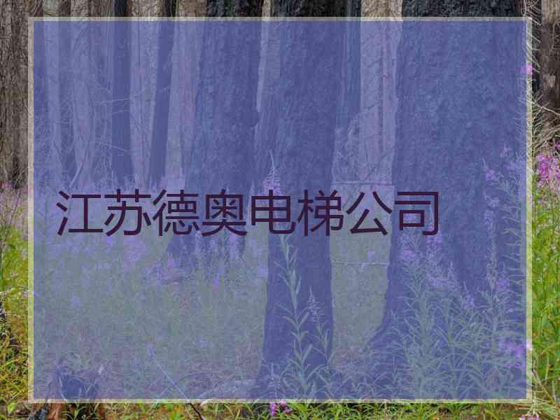 江苏德奥电梯公司