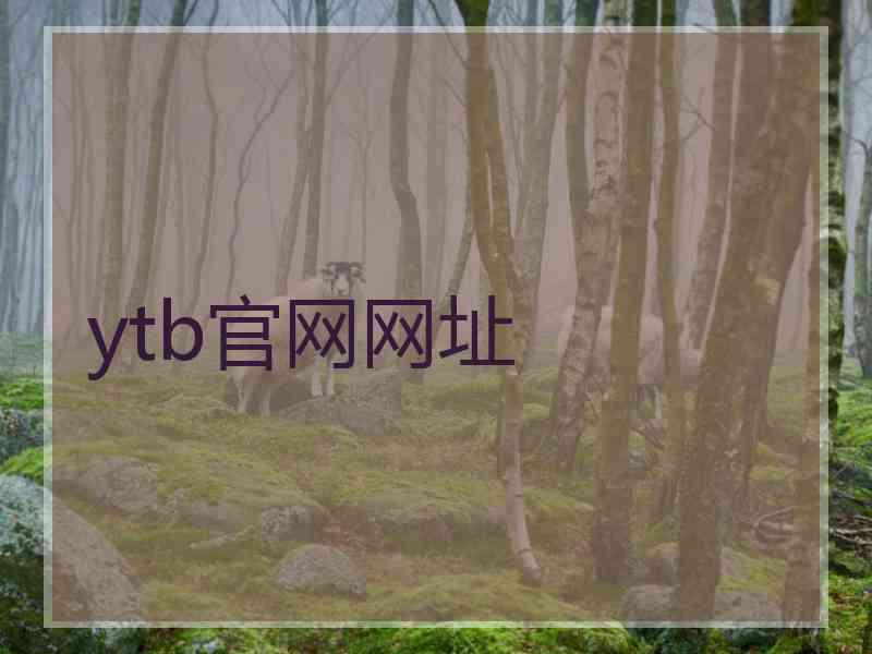 ytb官网网址