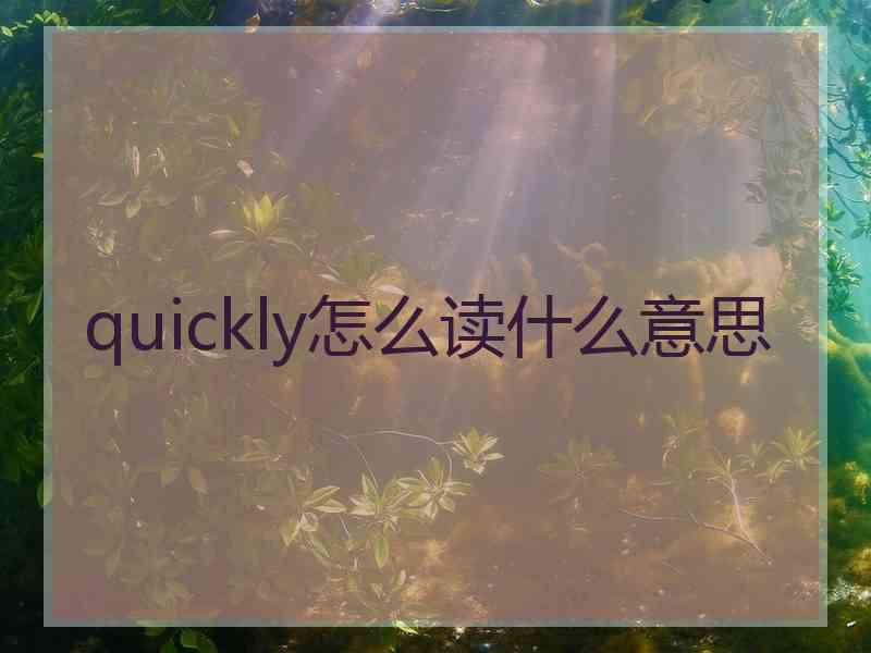 quickly怎么读什么意思