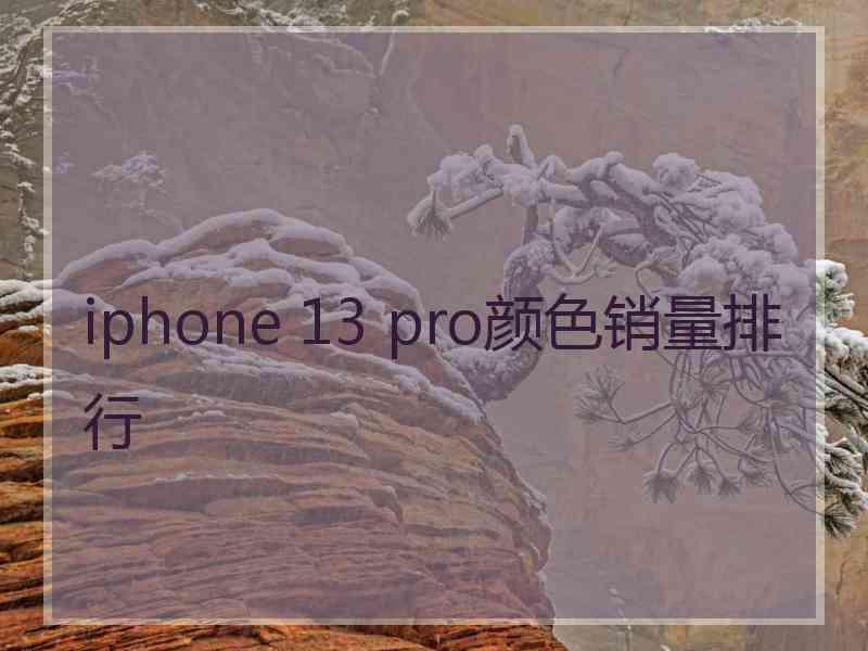 iphone 13 pro颜色销量排行