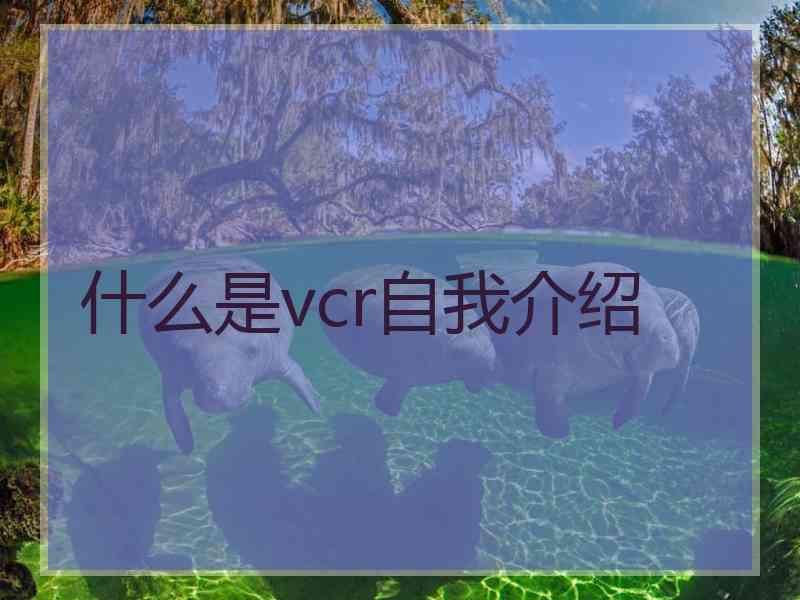 什么是vcr自我介绍