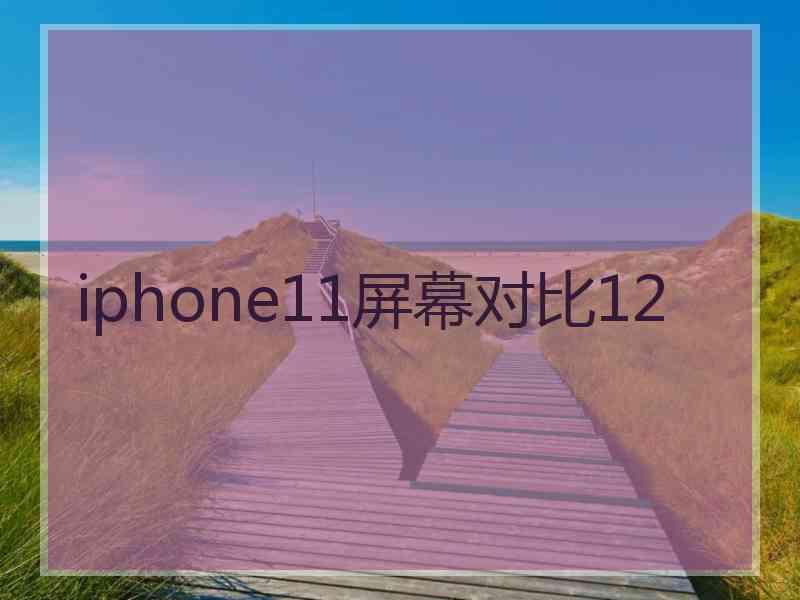 iphone11屏幕对比12