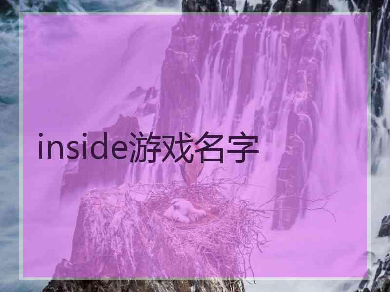 inside游戏名字