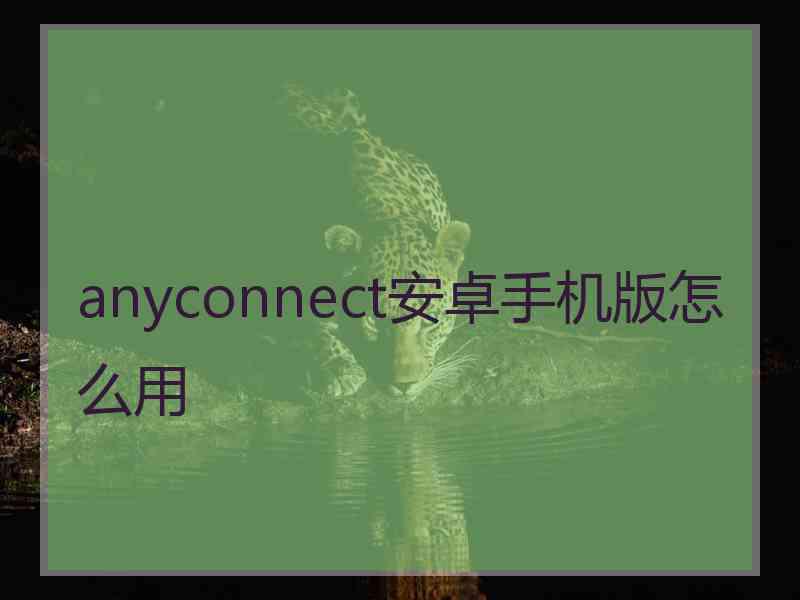 anyconnect安卓手机版怎么用