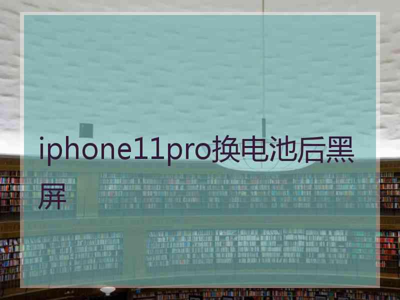 iphone11pro换电池后黑屏