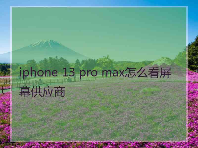 iphone 13 pro max怎么看屏幕供应商