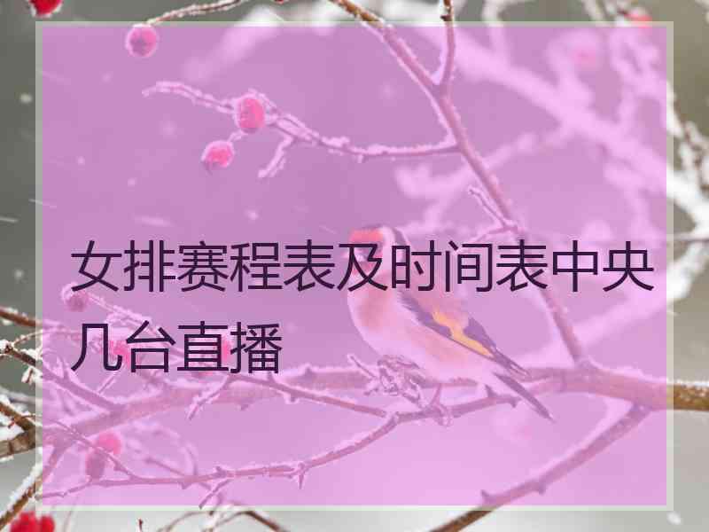 女排赛程表及时间表中央几台直播