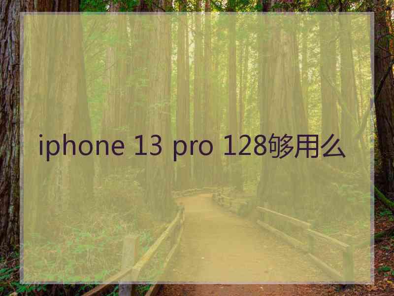 iphone 13 pro 128够用么