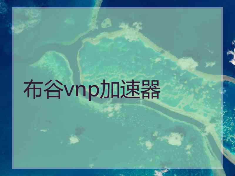 布谷vnp加速器