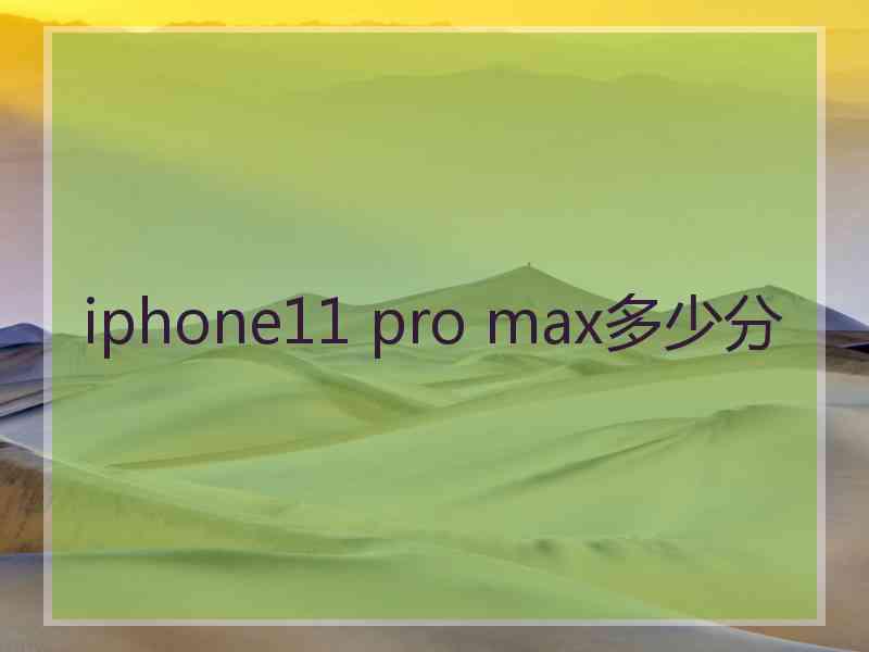 iphone11 pro max多少分