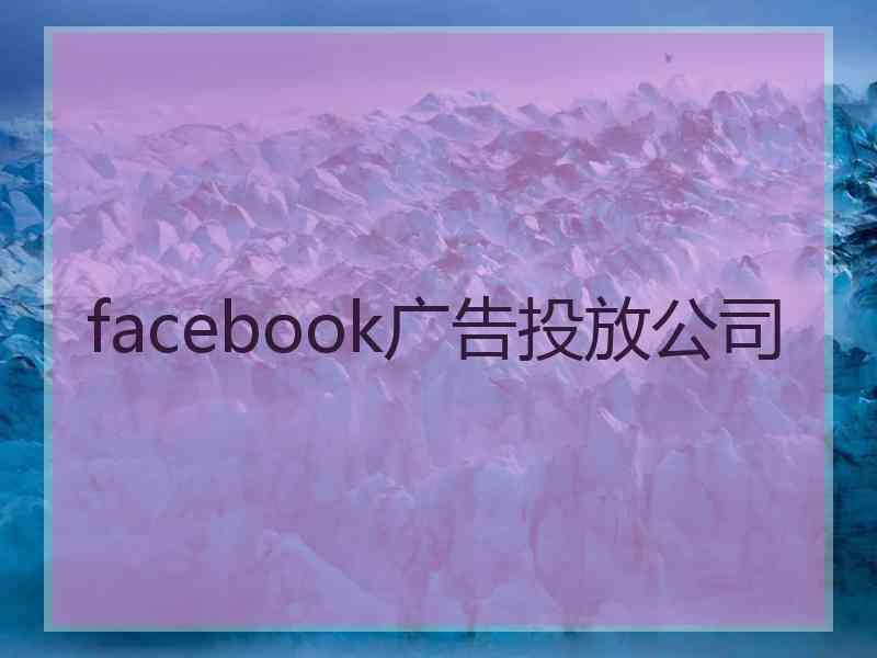 facebook广告投放公司