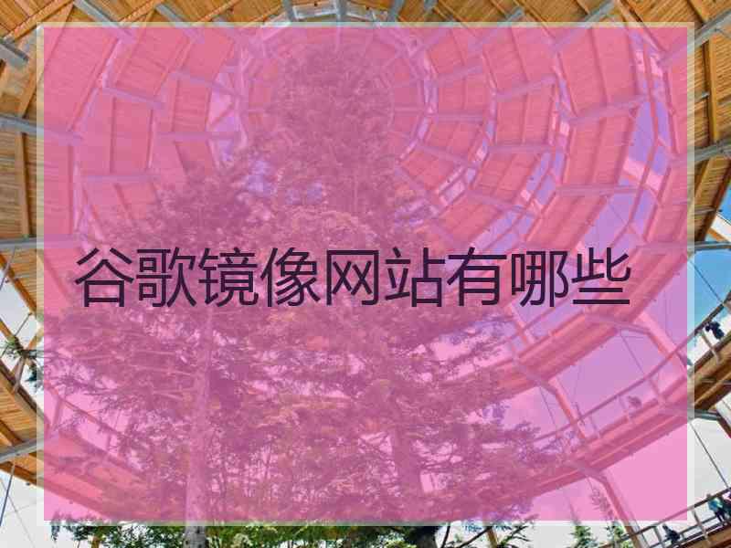 谷歌镜像网站有哪些