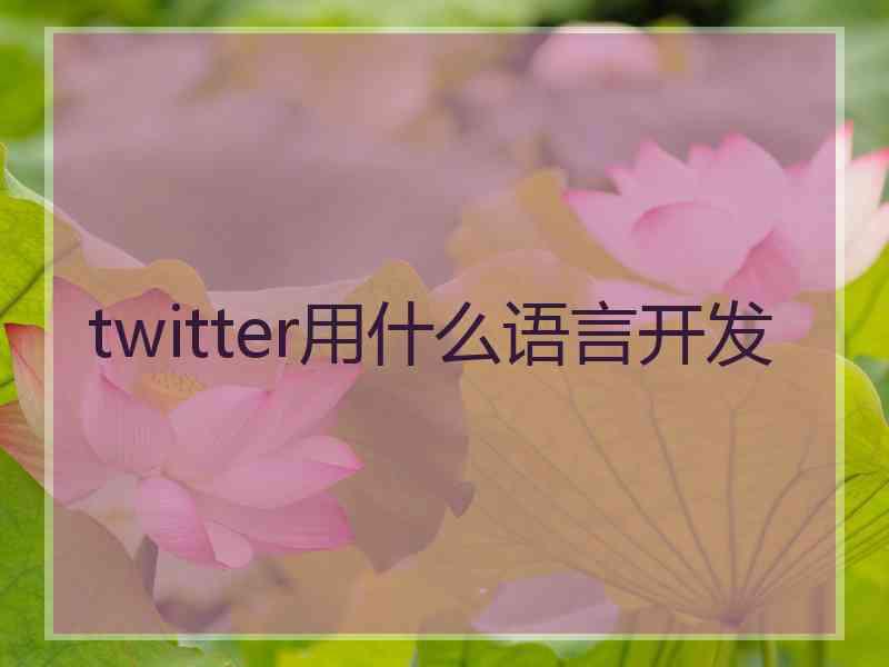 twitter用什么语言开发