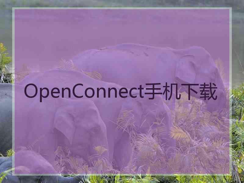 OpenConnect手机下载