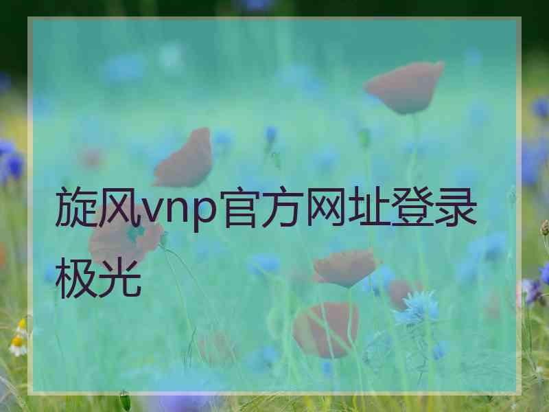 旋风vnp官方网址登录极光