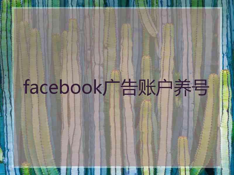 facebook广告账户养号