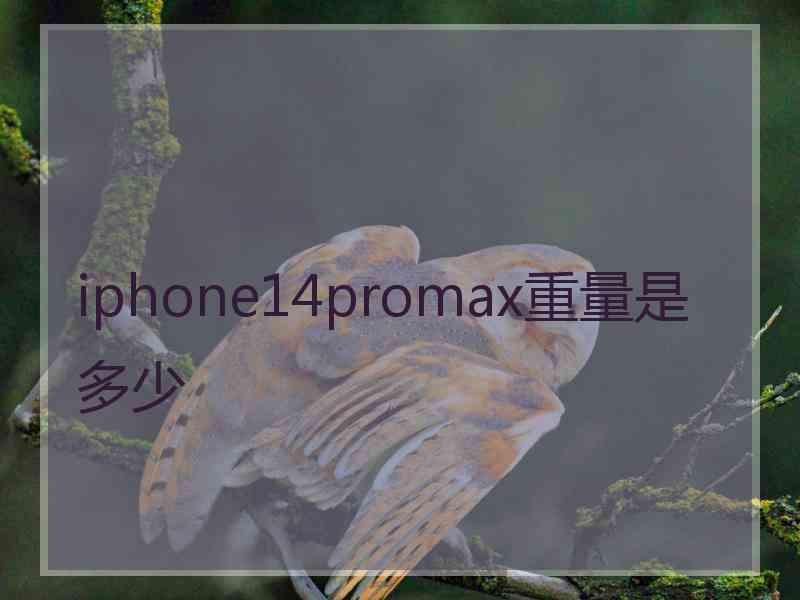 iphone14promax重量是多少