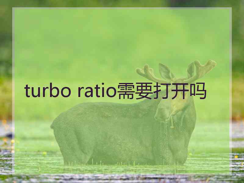 turbo ratio需要打开吗