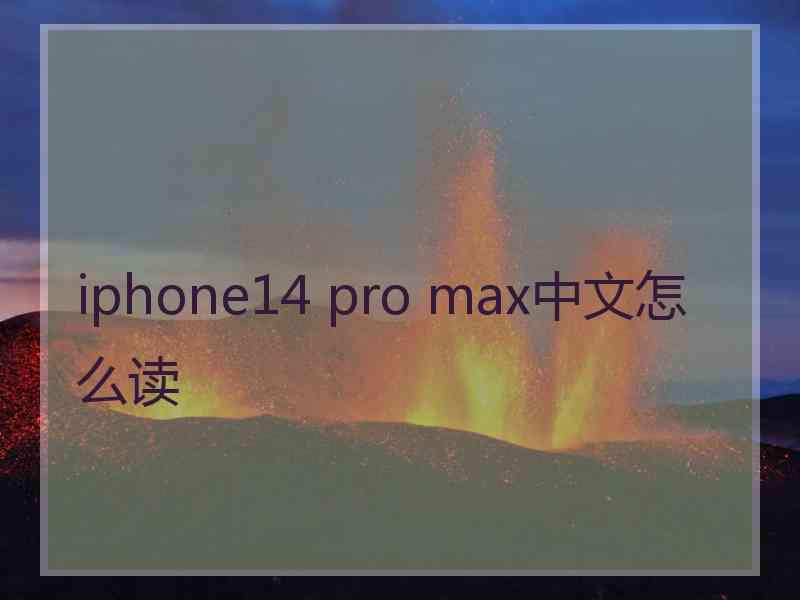 iphone14 pro max中文怎么读