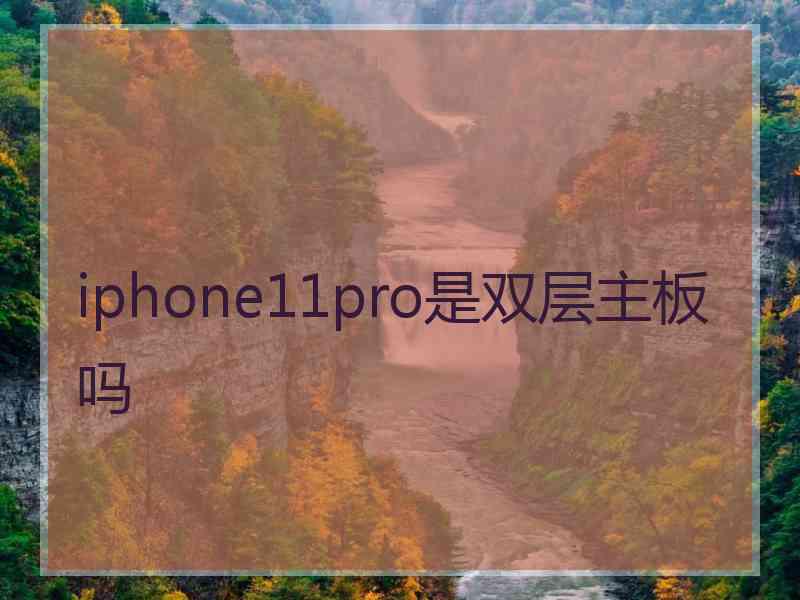 iphone11pro是双层主板吗