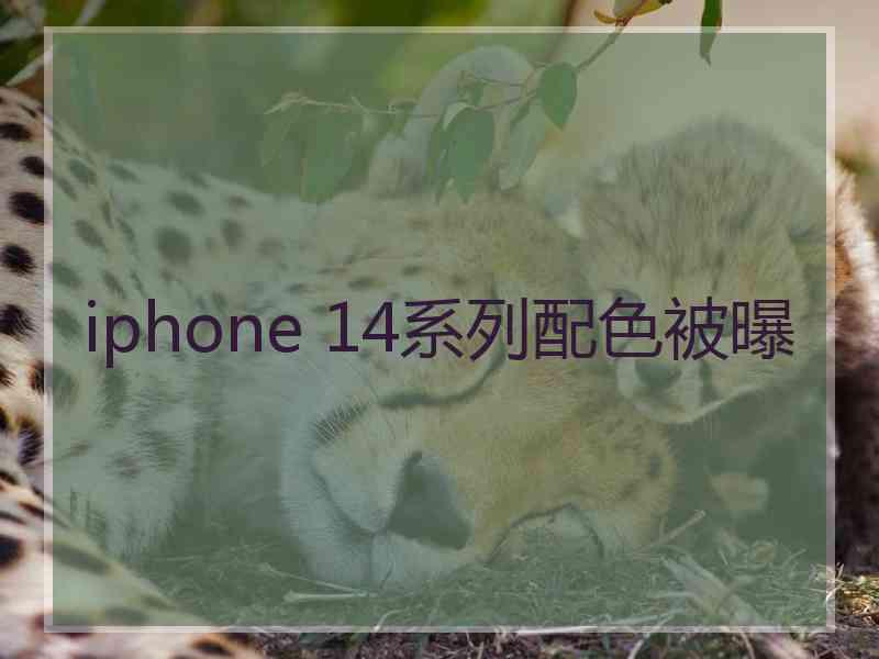 iphone 14系列配色被曝