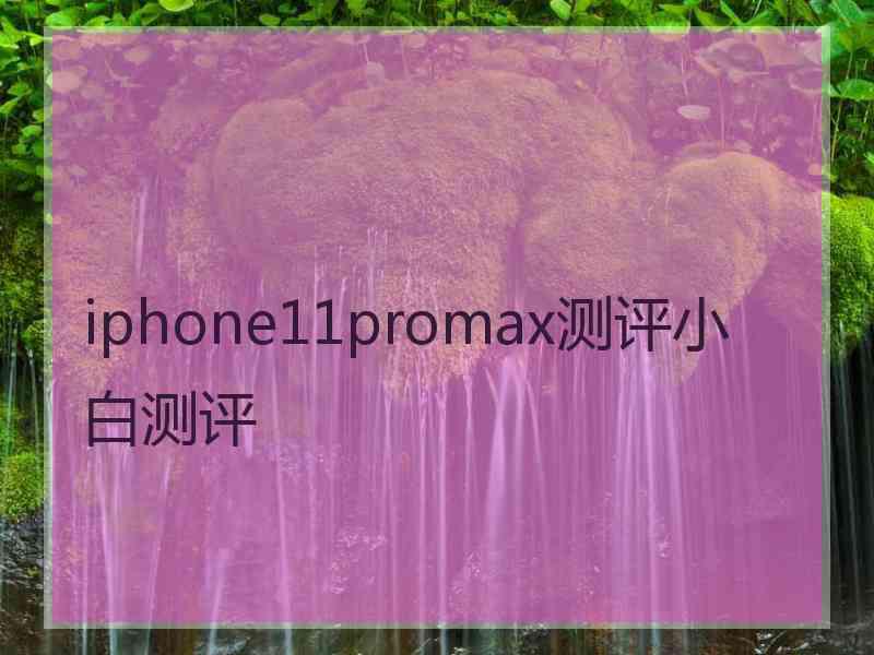 iphone11promax测评小白测评