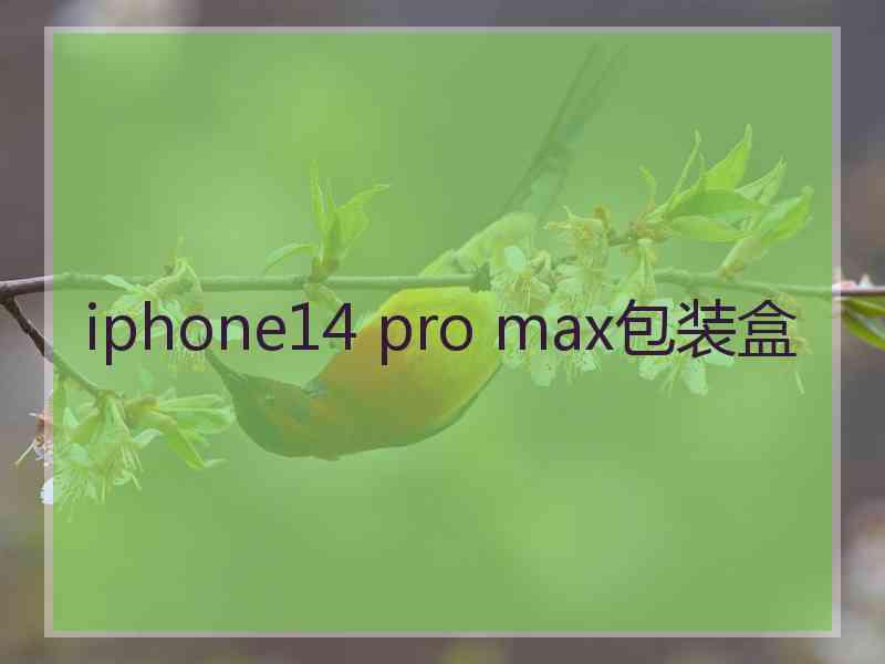 iphone14 pro max包装盒