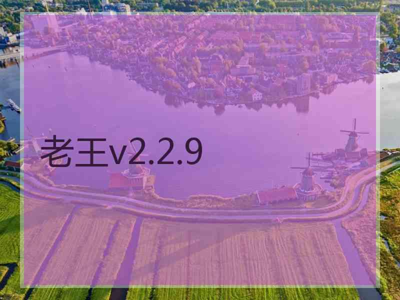 老王v2.2.9